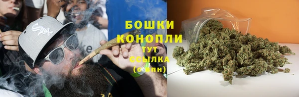 амф Арсеньев