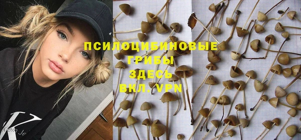 mix Аркадак
