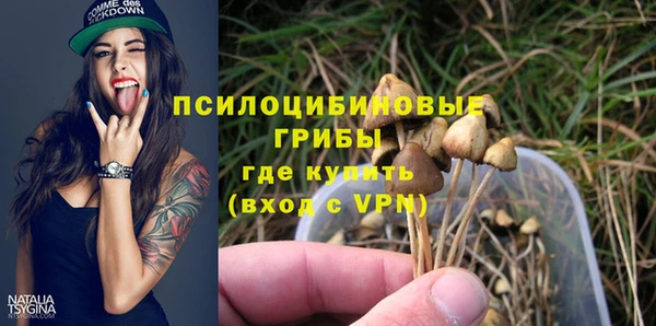 амф Арсеньев
