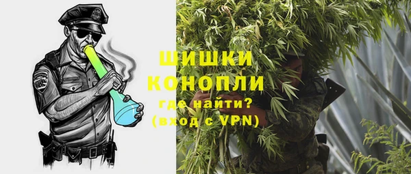 амф Арсеньев