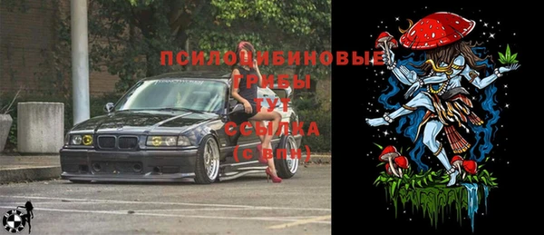 a pvp Армянск