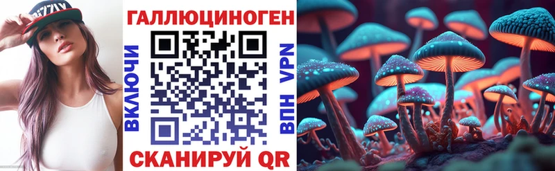 Галлюциногенные грибы Psilocybine cubensis  Электрогорск 